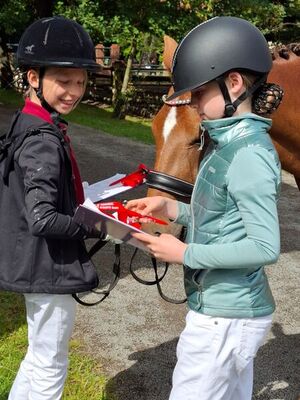 20260622_Jungzuechter-Bilder_6_1796752139199